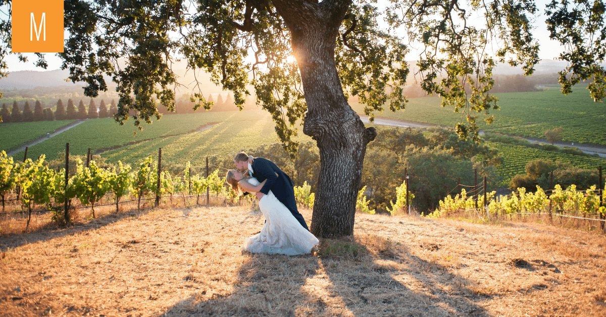 A groom dipping his beautiful bride at Copain Wines. A beautiful view of Russian River valley in the background.