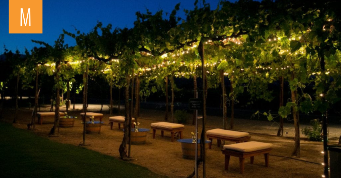 Grape arbor with market lights and Classic Wine Country details