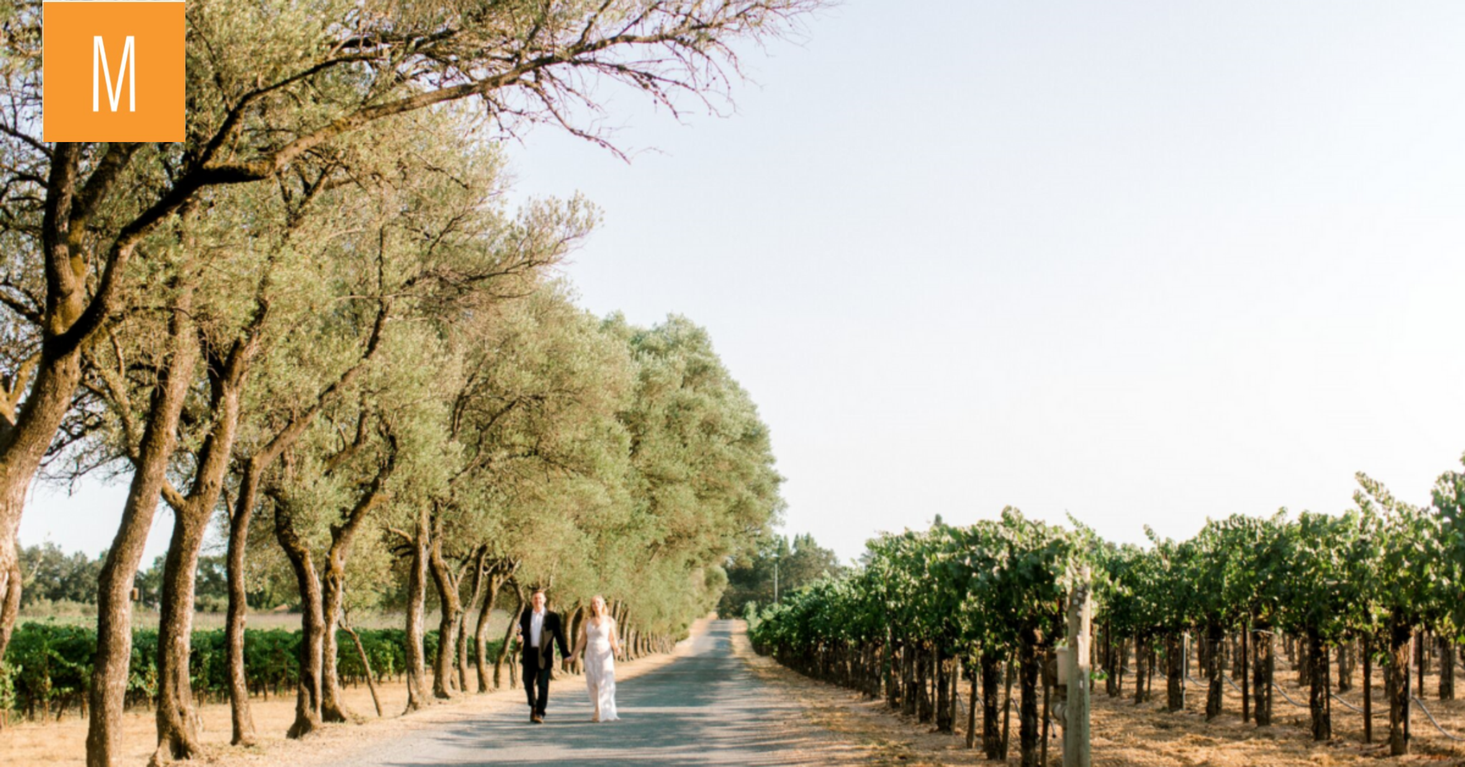Wedding budgets: Where to focus your dollars
