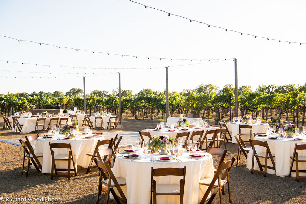 Dining in the Vines