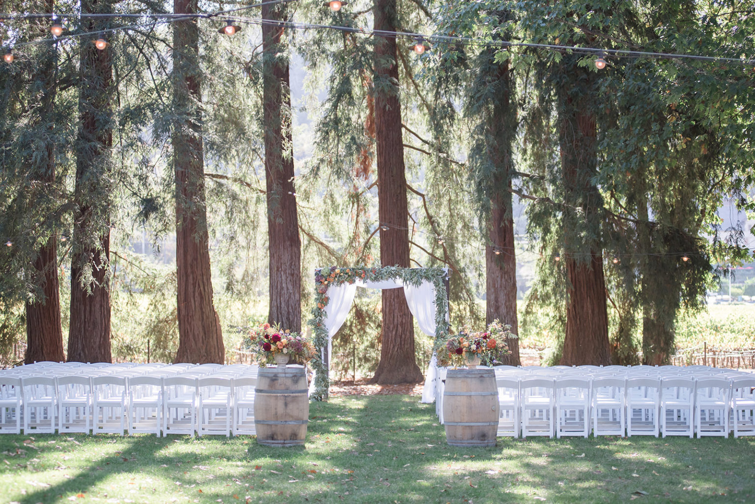 Redwood Ceremony Location