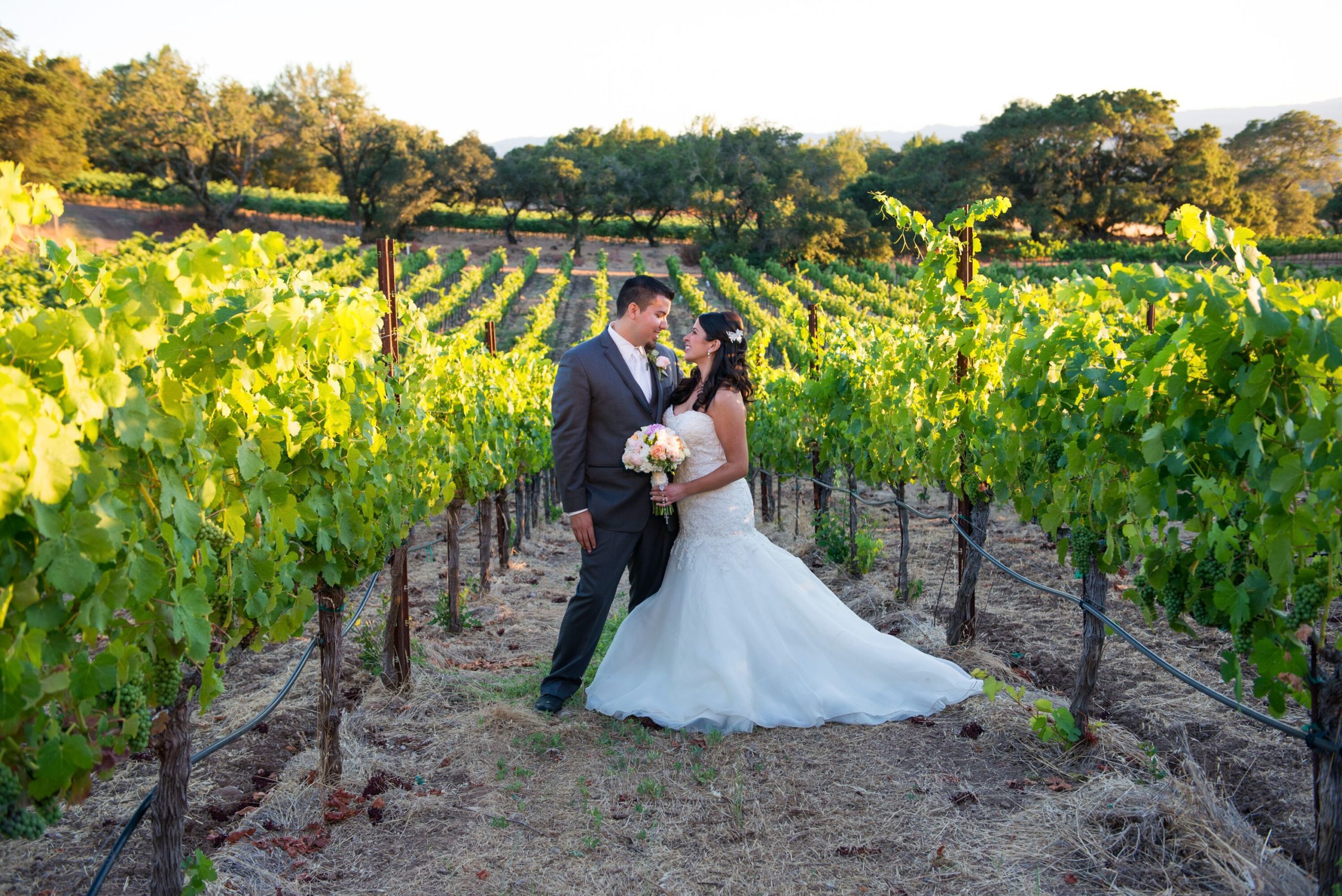 This Couple Planned Their California Winery Wedding in Just 8 Months