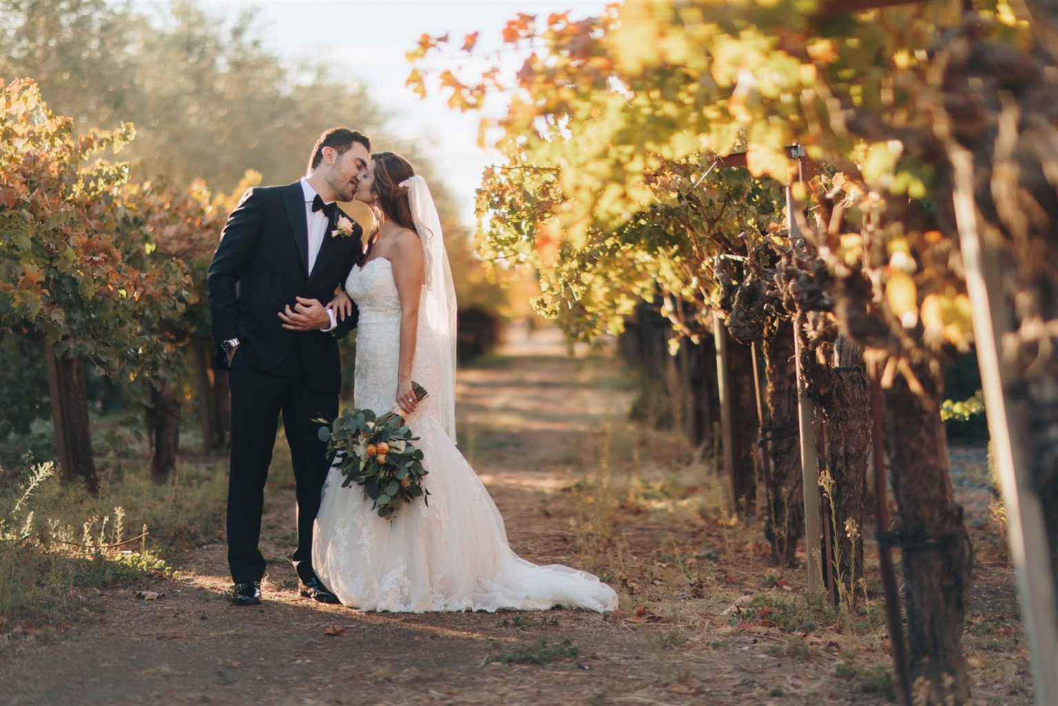 Couple kissing in vineyard