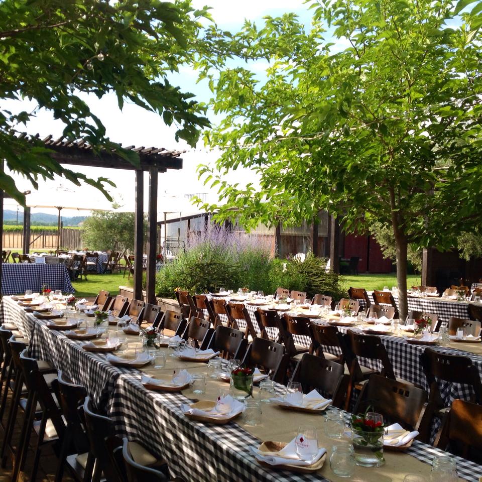 Long banquet tables set for dining with trees and pergola at Truett Hurst winery