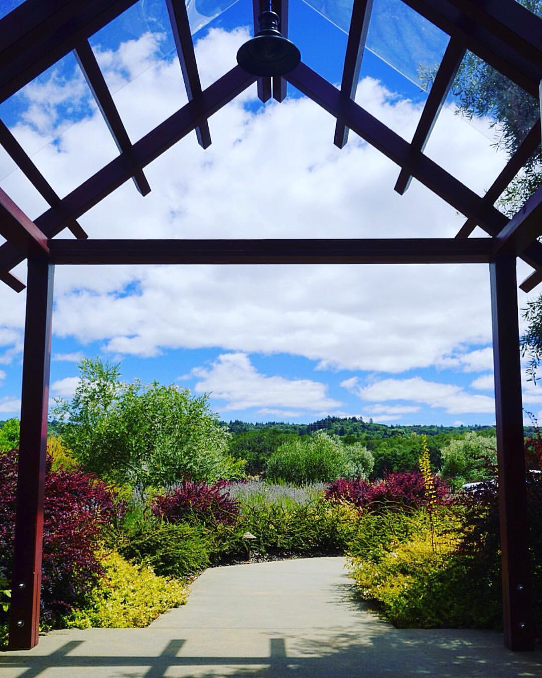 Looking out the entrance of Truett Hurst winery to lush greenery and sunny clouded sky above pergola