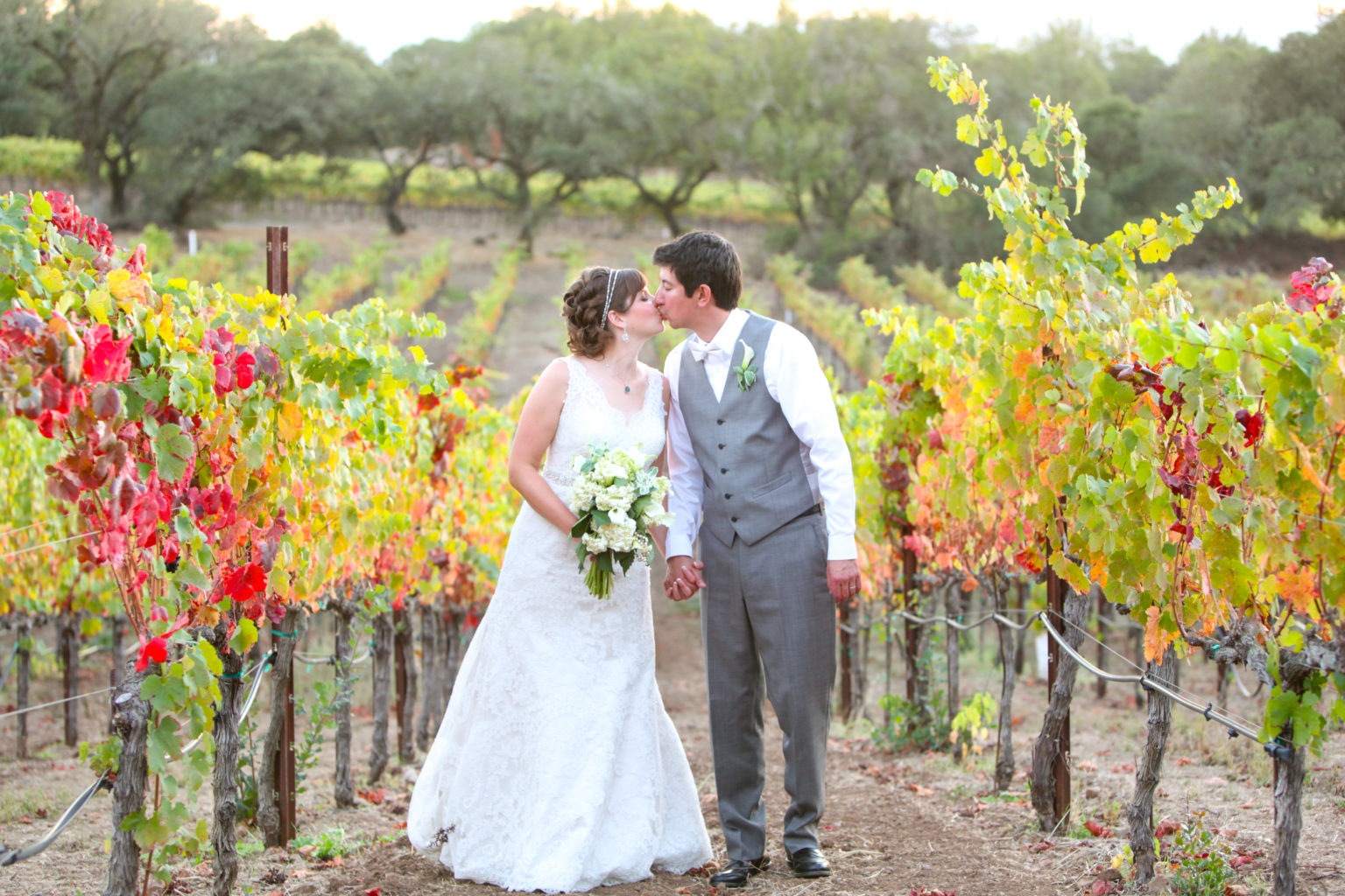 Wedding couple kissing among the vines at Paradise Ridge Winery