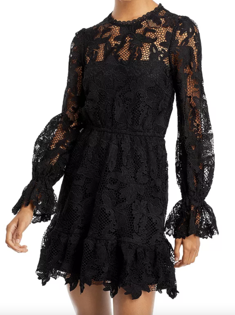 Lace Mini Dress for embroidered dresses for wedding guest