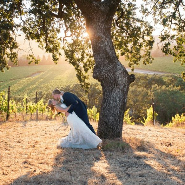 A groom dipping his beautiful bride at Copain Wines. A beautiful view of Russian River valley in the background.